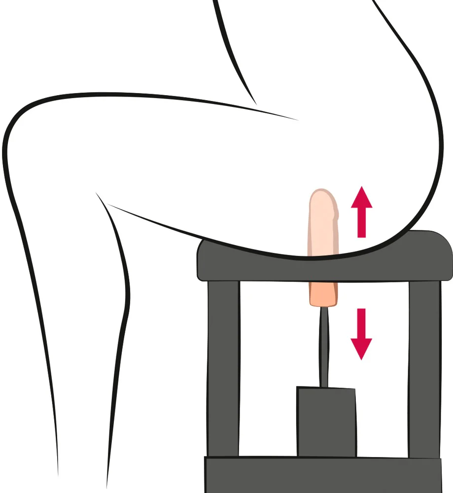 Miniatura 13