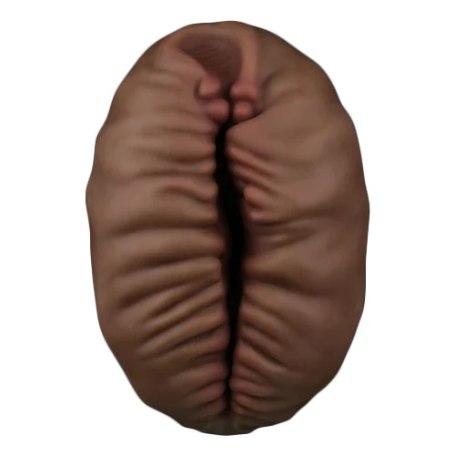 Miniatura 9